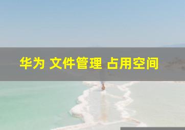 华为 文件管理 占用空间